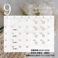 画像1239