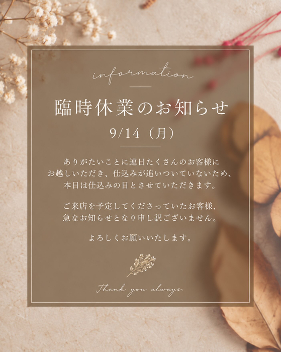 画像1245