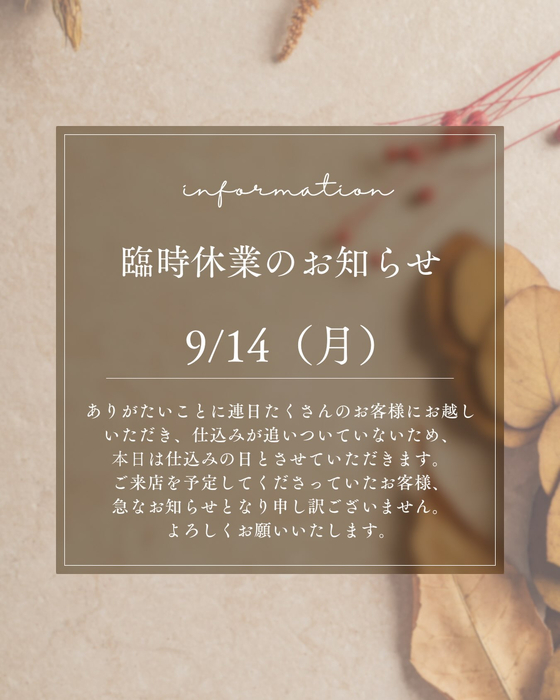 画像1247
