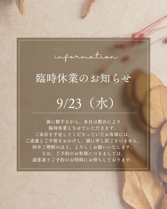 画像1261