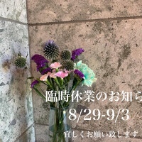 画像441